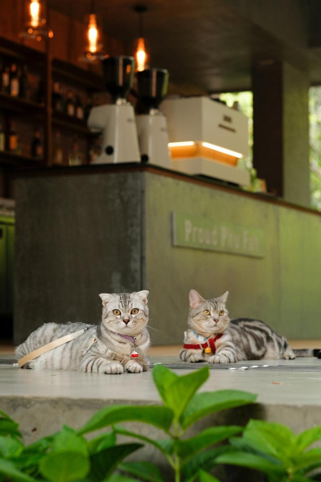 Proud Phu Fah Muang Chiang Mai Hotell Eksteriør bilde