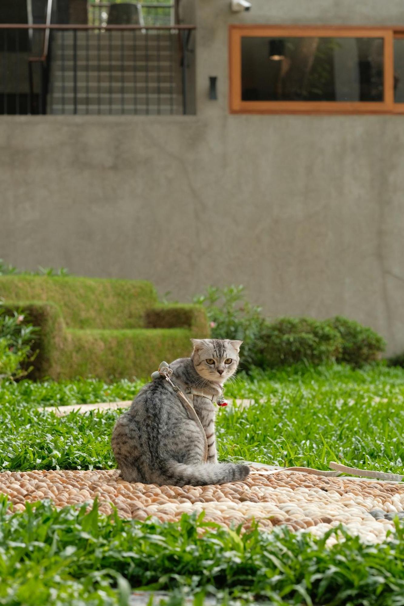 Proud Phu Fah Muang Chiang Mai Hotell Eksteriør bilde